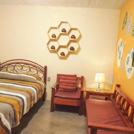 Los Nardos Hostel -Pet Friendly- Oaxaca Exterior foto