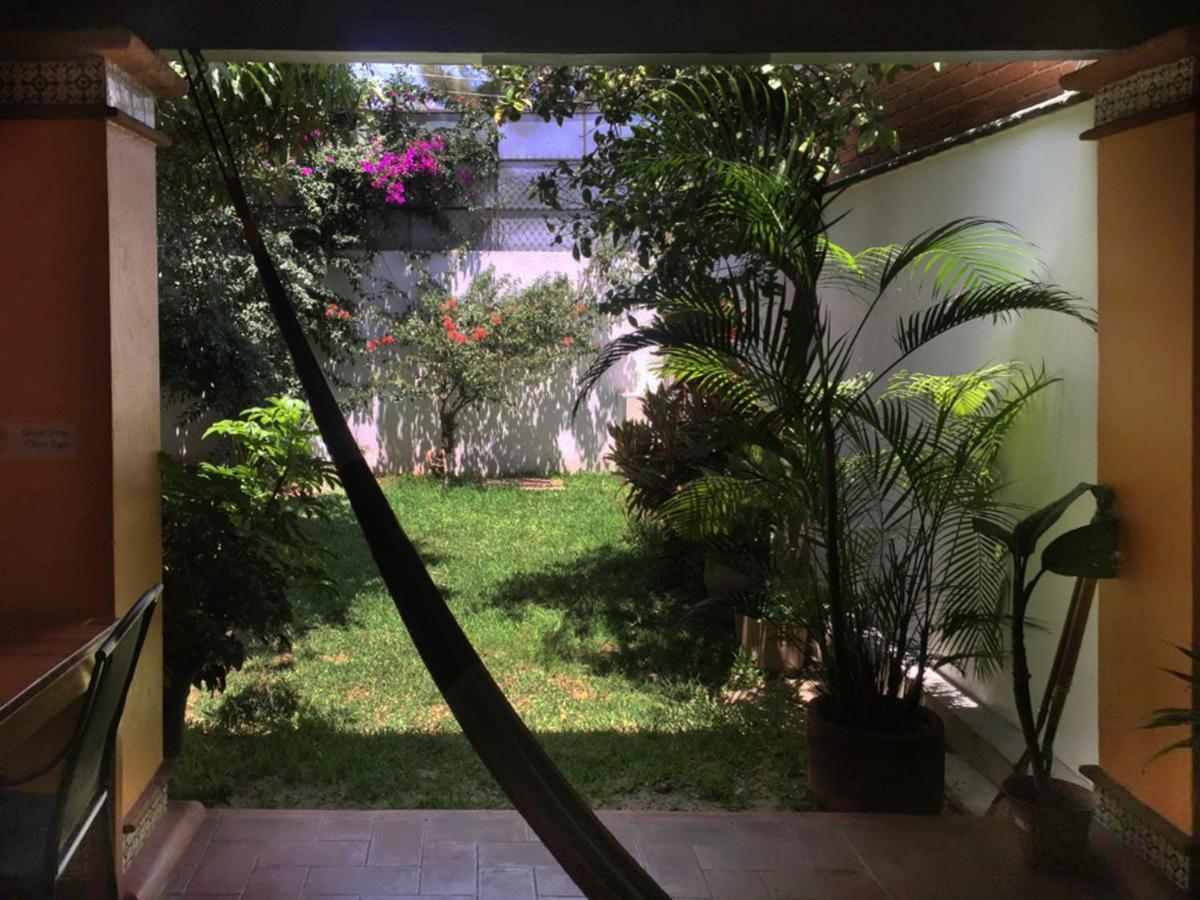 Los Nardos Hostel -Pet Friendly- Oaxaca Exterior foto
