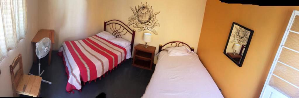 Los Nardos Hostel -Pet Friendly- Oaxaca Exterior foto