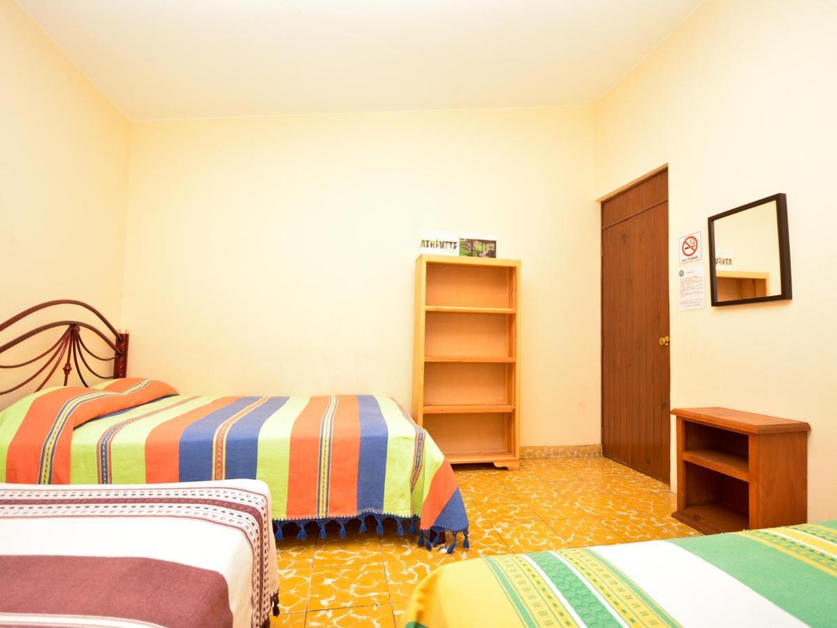 Los Nardos Hostel -Pet Friendly- Oaxaca Exterior foto
