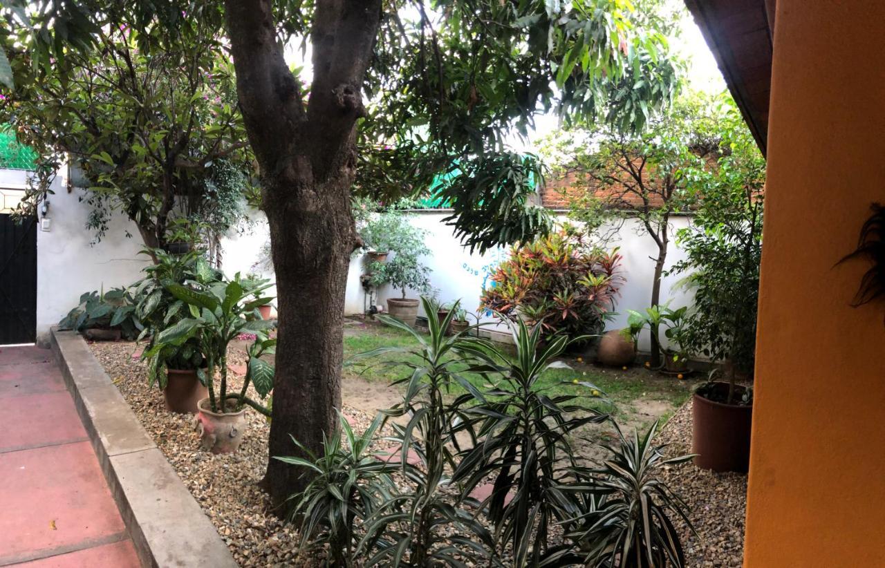 Los Nardos Hostel -Pet Friendly- Oaxaca Exterior foto