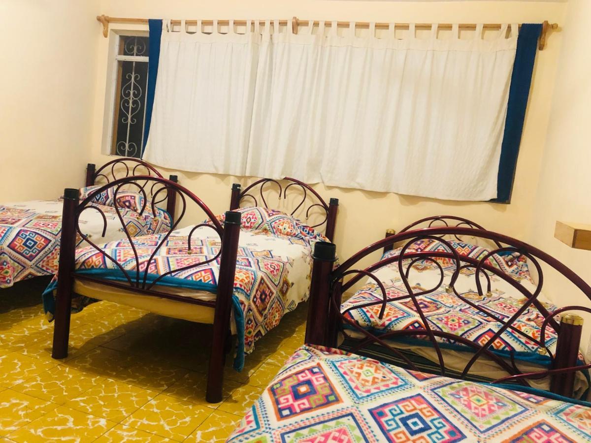 Los Nardos Hostel -Pet Friendly- Oaxaca Exterior foto