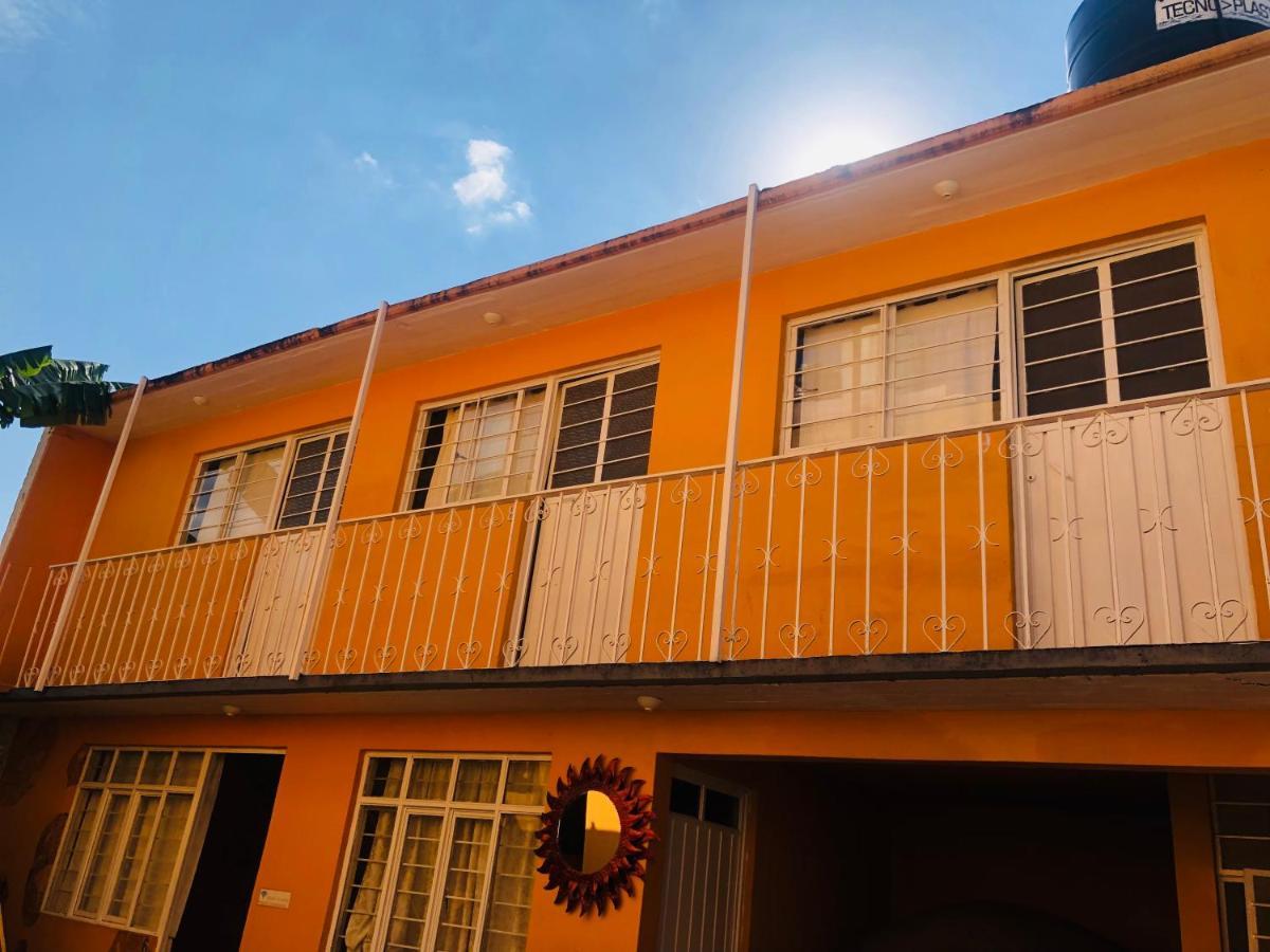 Los Nardos Hostel -Pet Friendly- Oaxaca Exterior foto
