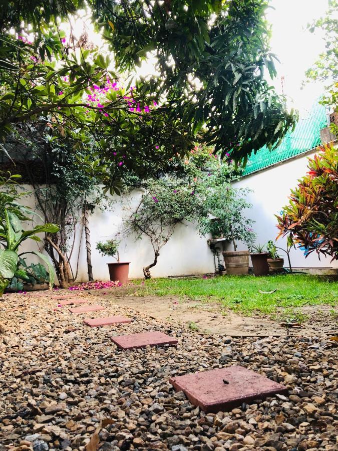 Los Nardos Hostel -Pet Friendly- Oaxaca Exterior foto