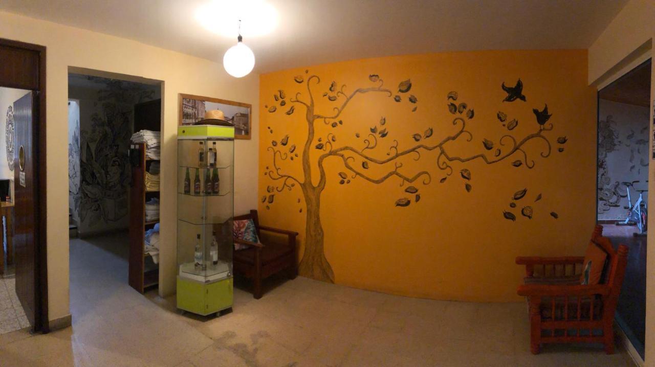 Los Nardos Hostel -Pet Friendly- Oaxaca Exterior foto