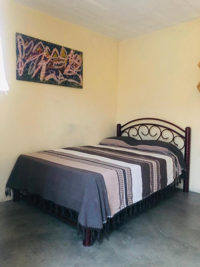 Los Nardos Hostel -Pet Friendly- Oaxaca Exterior foto