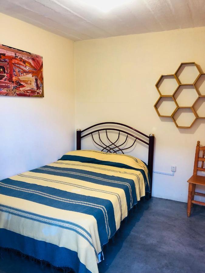 Los Nardos Hostel -Pet Friendly- Oaxaca Exterior foto