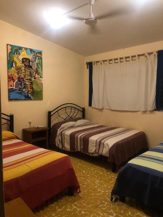 Los Nardos Hostel -Pet Friendly- Oaxaca Exterior foto