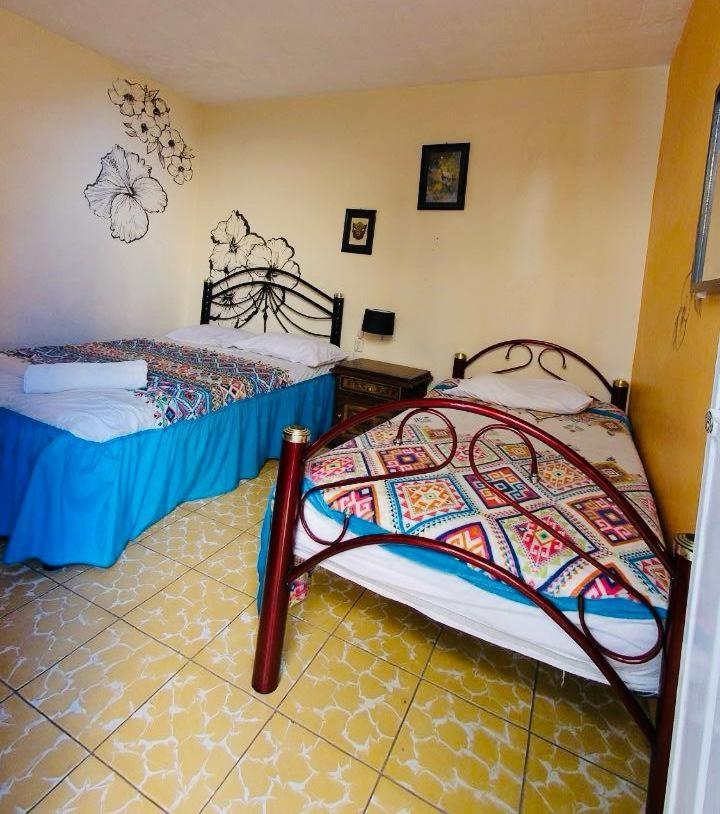 Los Nardos Hostel -Pet Friendly- Oaxaca Exterior foto