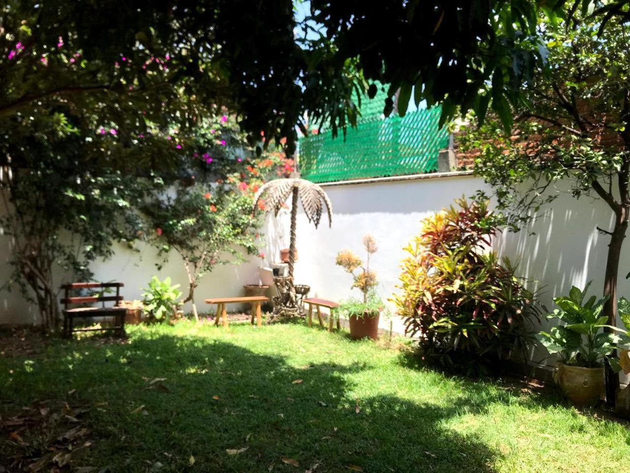 Los Nardos Hostel -Pet Friendly- Oaxaca Exterior foto